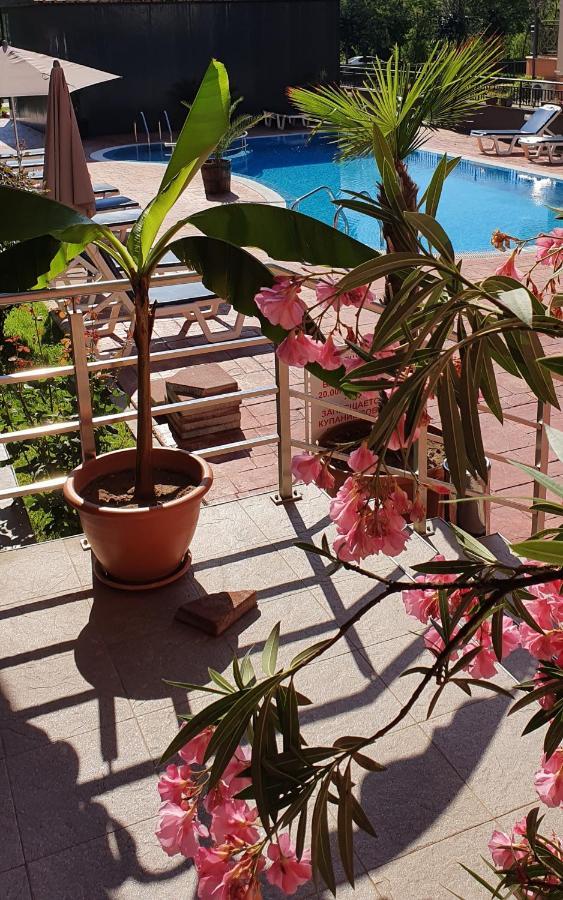 Apartament Cacao Residence サニービーチ エクステリア 写真
