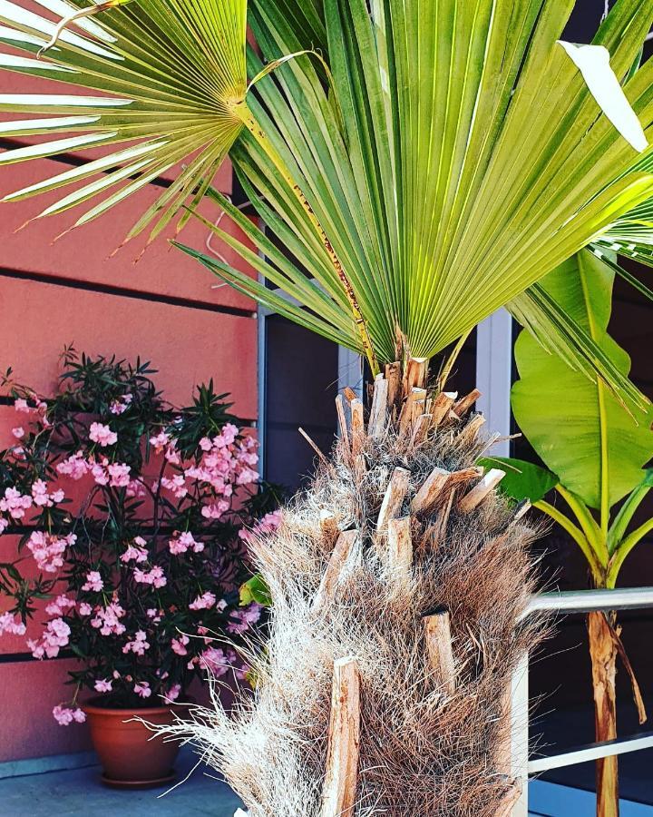 Apartament Cacao Residence サニービーチ エクステリア 写真